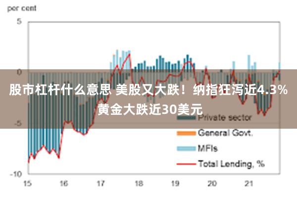 股市杠杆什么意思 美股又大跌！纳指狂泻近4.3% 黄金大跌近30美元