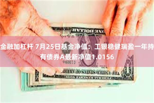 金融加杠杆 7月25日基金净值：工银稳健瑞盈一年持有债券A最新净值1.0156