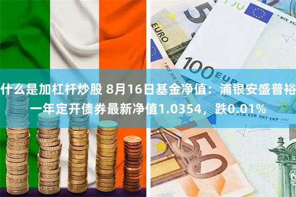 什么是加杠杆炒股 8月16日基金净值：浦银安盛普裕一年定开债券最新净值1.0354，跌0.01%