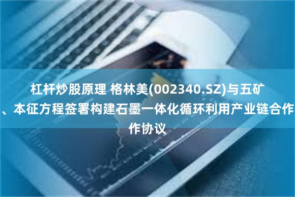 杠杆炒股原理 格林美(002340.SZ)与五矿石墨、本征方程签署构建石墨一体化循环利用产业链合作协议