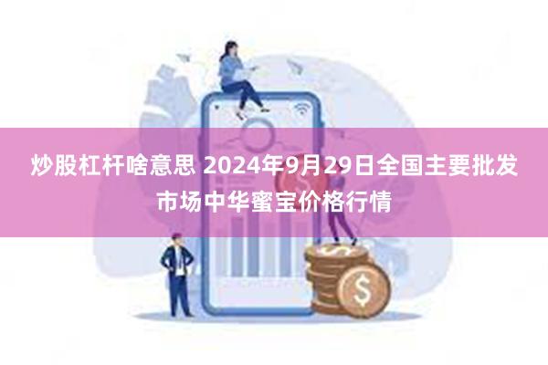 炒股杠杆啥意思 2024年9月29日全国主要批发市场中华蜜宝价格行情