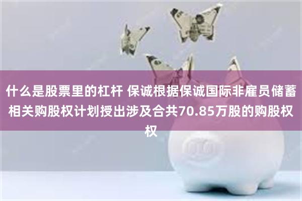 什么是股票里的杠杆 保诚根据保诚国际非雇员储蓄相关购股权计划授出涉及合共70.85万股的购股权