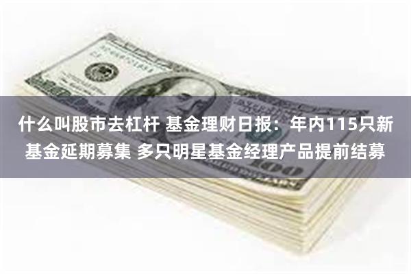 什么叫股市去杠杆 基金理财日报：年内115只新基金延期募集 多只明星基金经理产品提前结募