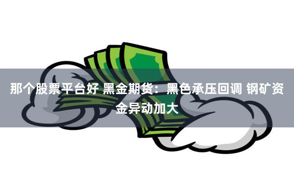 那个股票平台好 黑金期货：黑色承压回调 钢矿资金异动加大