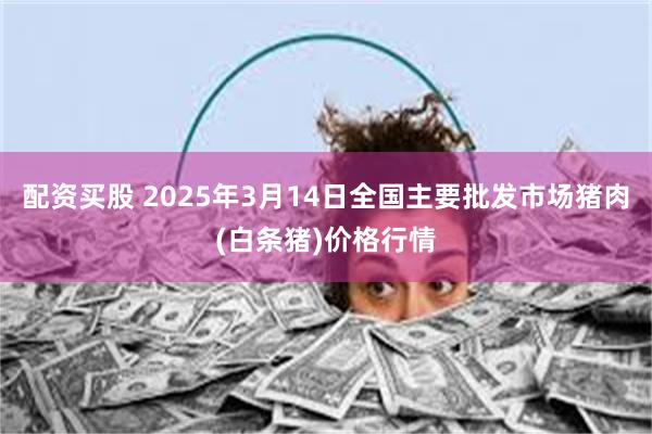 配资买股 2025年3月14日全国主要批发市场猪肉(白条猪)价格行情