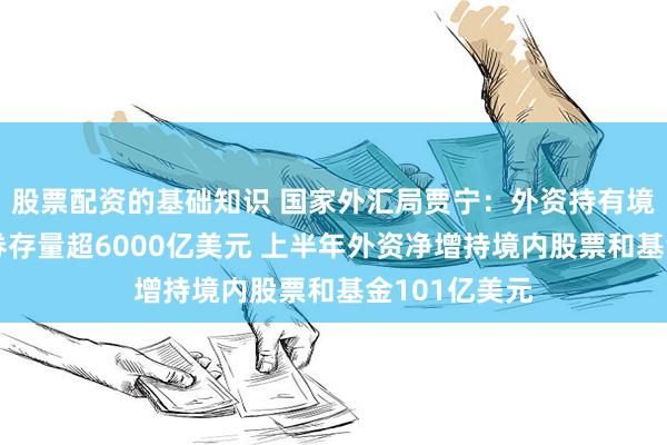 股票配资的基础知识 国家外汇局贾宁：外资持有境内人民币债券存