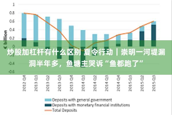 炒股加杠杆有什么区别 夏令行动｜崇明一河堤漏洞半年多，鱼塘主