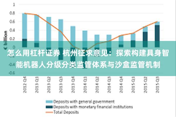 怎么用杠杆证券 杭州征求意见：探索构建具身智能机器人分级分类